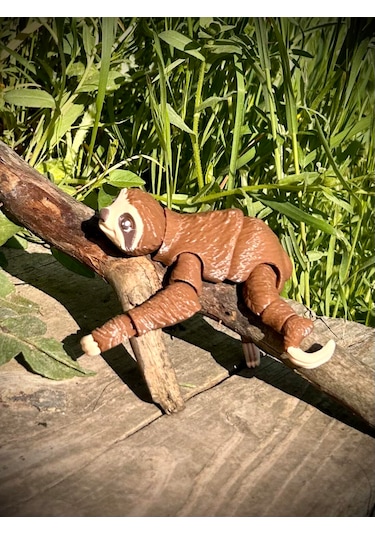 Tembel Hayvan Oyuncak 3d Hareketli Organik Vip Model- Büyük Boy