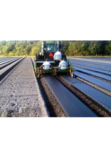 Malç Naylonu Çilek Naylonu En 130 CM Boy 100 M Malç Örtüsü