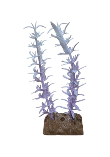 Akvaryum Yapay Bitki Süsü Kedi Tırnağı Mor Beyaz 14 Cm