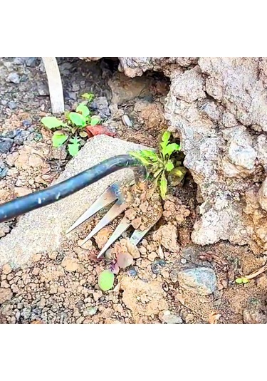 Foxyle Foxyle Weeder, Weed Çekme Aracı, 4 Diş Manganez Çelik Kökün