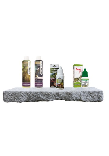 Purecanpati Kaplumbağa Tam Bakım Seti Tor-axsol Vitamin + Deepfix Kabuk Koruyucu + Su Düzenleyici