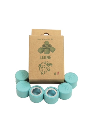 Sym Joyride 300 Leone Performans Bagası 18 Gr + Speedup Kızak Kaydırıcı Set