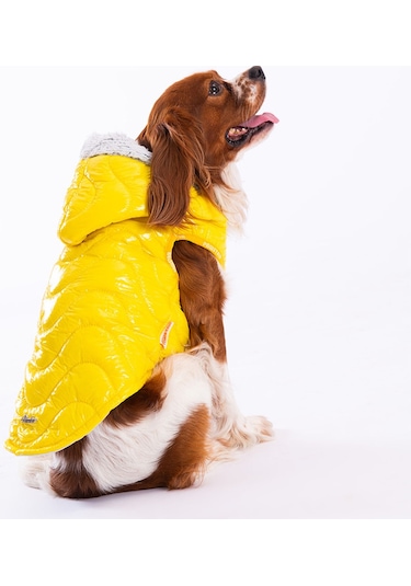Pawstar Sarı Light Wave Anorak Yelek Köpek Yeleği