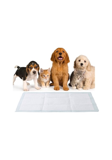 Dr.Comfort Kedi Köpek Çiş Pedi 30'lu 60 x 90 CM
