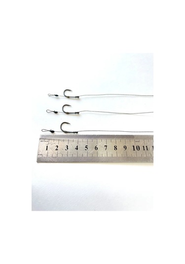 Carpspot Climax Lidcore İçin 70 Gr Carp Montajı Inline Bilye Kurşun 472719682