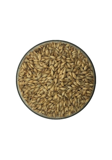 Hitit Malt Asitli Arpa Maltı 250 G