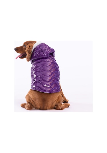 Pawstar Mor Light Wave Anorak Yelek Köpek Yeleği