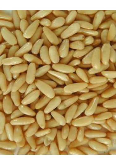 Lokman Aktar Dolmalık İşlenmiş Yer Fıstığı 100 G