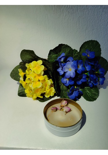 Türk Kahveli Tarçınlı Böcek Savar Kutu Mum