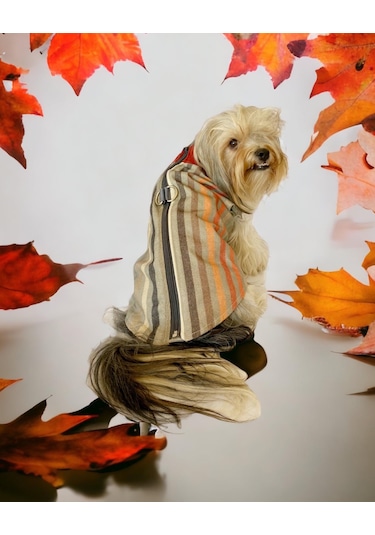 Kemique Stripe Orange Su İtici Köpek Yağmurluğu