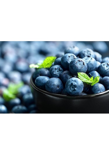 Bahçev2 Yaşında Tüplü Yaban Mersini Fidanı