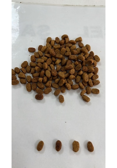 Yavru Kedi Kuru Maması Tavuklu 15 Kg