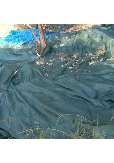 5x5 Metre Zeytin Sergisi Zeytin Toplama Filesi Fındık Fıstık Örtüsü Gölgelik Dut Meyve Sergisi Taban Örtüsü