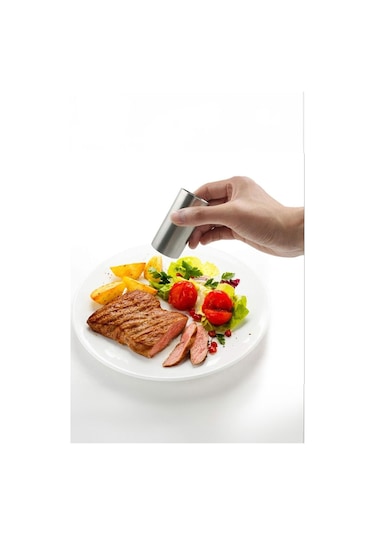 Mat Çelik 3 Parça Tuz Karabiber Standlı Baharatlık Set Cin971 Gri