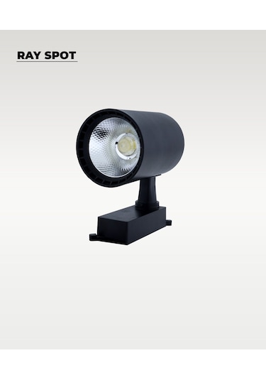 30w Siyah Ray Spot 4000k Gün Işığı Siyah