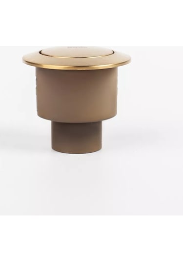 Iddıs 1 Modlu Klozet Sifonu Düğmesi 155388713 Antik Bronz