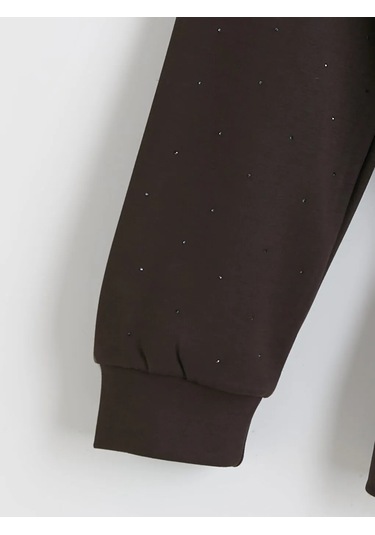 Lc Waikiki Kahverengi Taşlı Soft Touch Oversize Kadın Sweatshirt