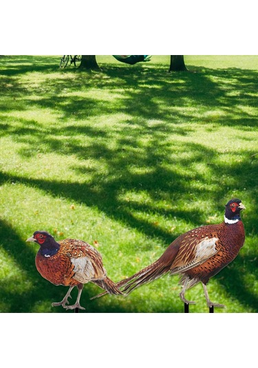 Suntek Sülün Heykelcik Hediyeler Çiftlik Veranda Açık Ab