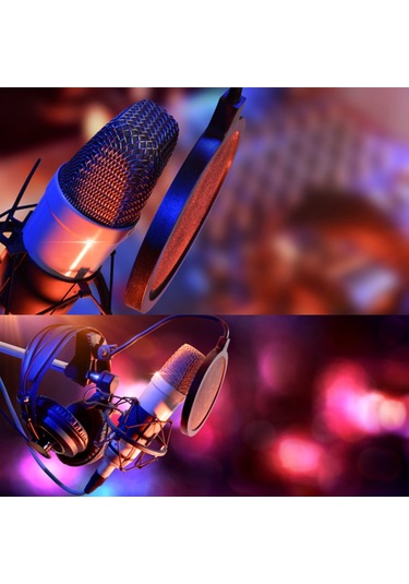 Teltree Mikrofon Pop Filtresi Siyah: Rüzgar Ve Gürültü Engelleyici, Tükürük Birikimini Önleyen, 360 Esnek Tutucuyla Basit Montajlı