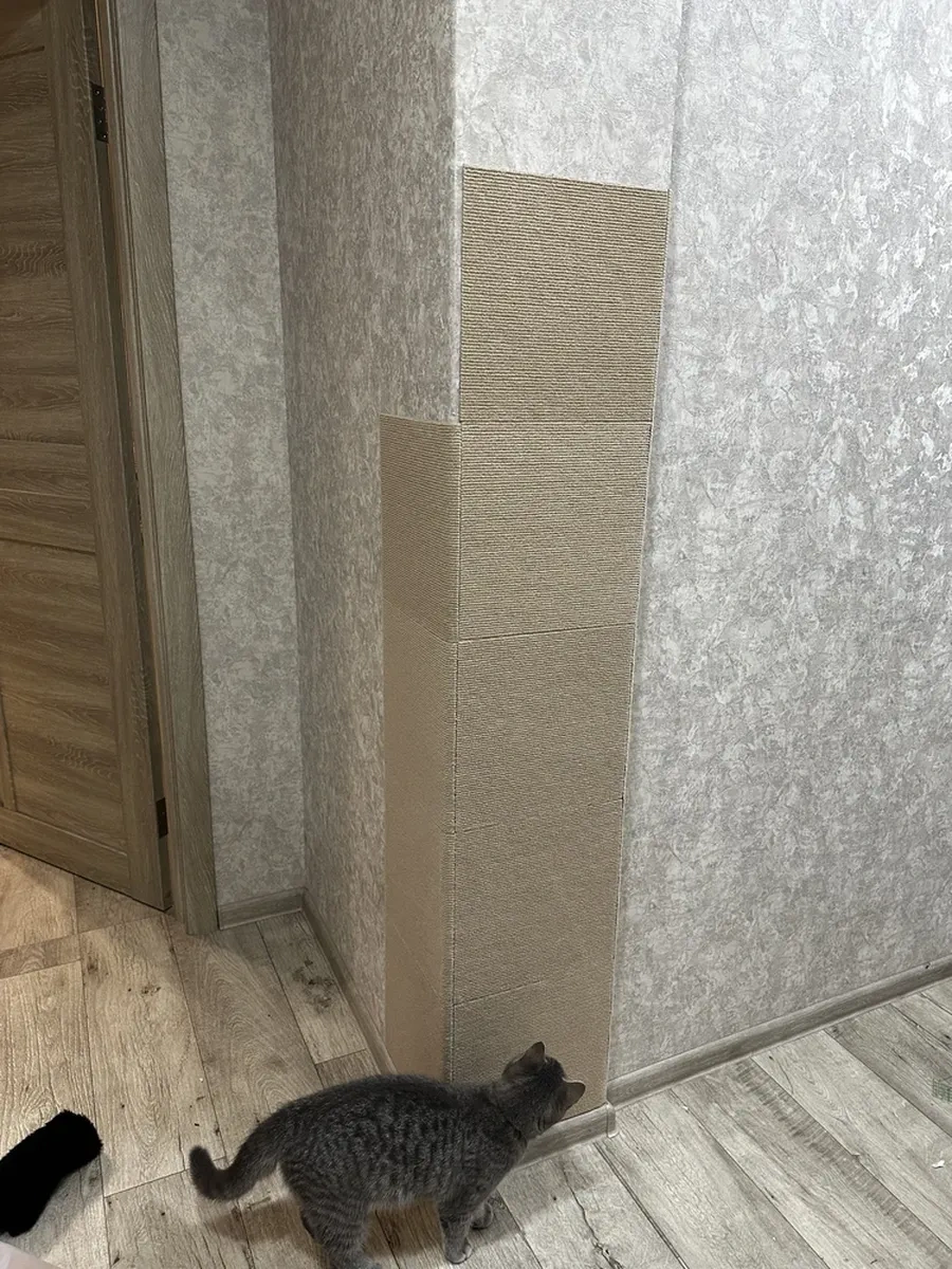 Chinawild Kendinden Yapışkanlı Halı 30x30 Cm 10 Adet, Zemin Kaplaması 222810948