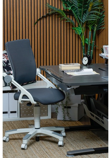 Creo Mobili Yükseklik Ve Sırt Ayarlı Sirius Çalışma Sandalyesi Ofis, Bilgisayar Koltuğu Antrasit/gri Gri