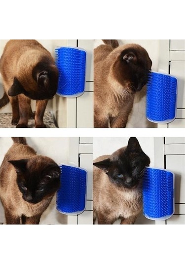 Buffer Pratik Kedi Tüyü Kaşıma Ve Tarama Aparatı Duvara Monte Kaşıma Aleti Çok Renkli