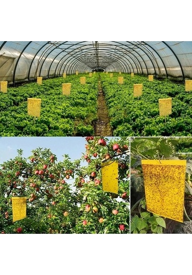 Zyzqstore 100 Adet Güçlü Meyve Sineği Tuzağı, Böcek Sarı Yapışkanlı Farklı Renklerde, 30-100 Adet