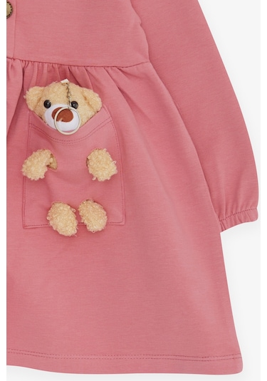 Breeze Kız Çocuk Uzun Kollu Elbise Ayıcık Aksesuarlı 2-6 Yaş, Gülkurusu