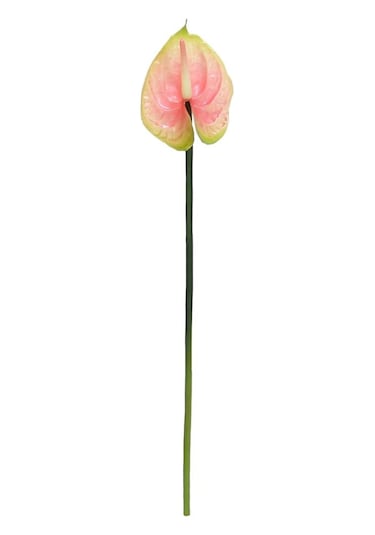 Yapay Antoryum Çiçeği Canlı Dokunuş Pembe 40 Cm-9975