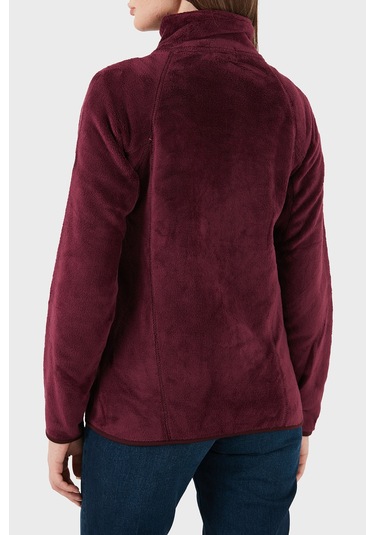 Norway Geographical Bayan Polar Upalıneb Mor Mor