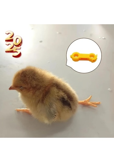 Willowhaven 7 Adet Civciv Bacak Desteği, Yeni Doğan Kuşlar İçin