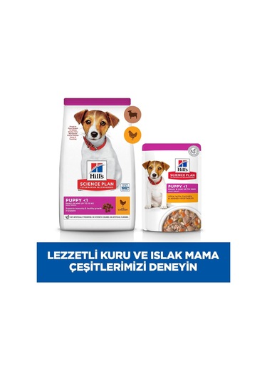 's Scıence Plan Küçük Irk Kuzulu & Pirinçli Yavru Köpek Maması 6 Kg