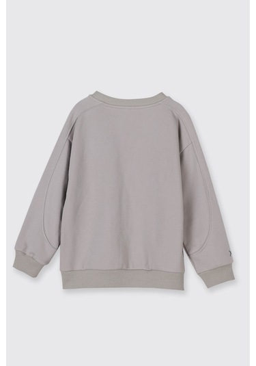 Panço Baskı Detaylı Taş Erkek Çocuk Sweatshirt 2521bb08007 Taş