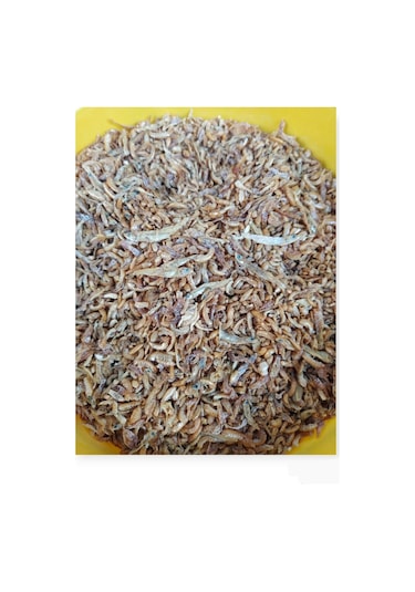 Gammarus Kurutulmuş Karides ve Balık Kaplumbağa Yemi 100 G