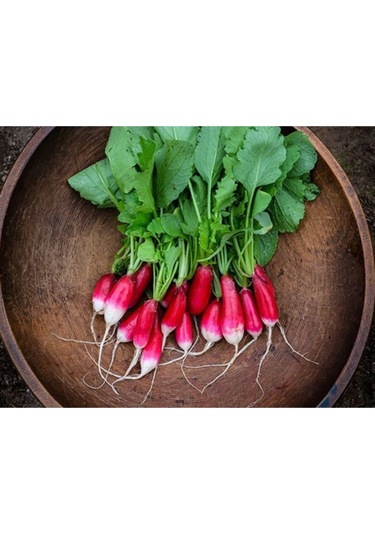 20 Adet Cherry Turp Tohumu