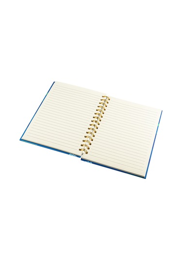 Studi Eğlenceli Defter - Dinozor Figürlü