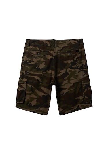 Quiksilver Crucıal Battle Cargo Renkli