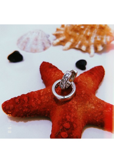 Gümüş Tek Sıra Taşlı Halka Küpe