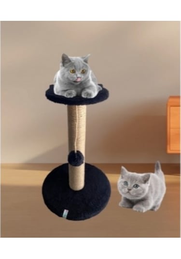 Reyo Pet Stepli Kedi Tırmalama Tahtası Siyah