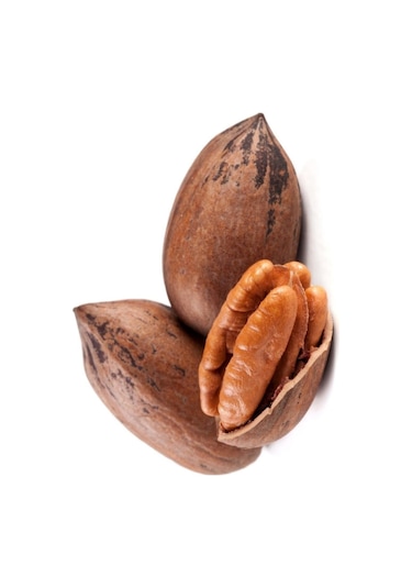 Pikan Ceviz 1 Kg. Kabuklu Pecan Nut Diğer