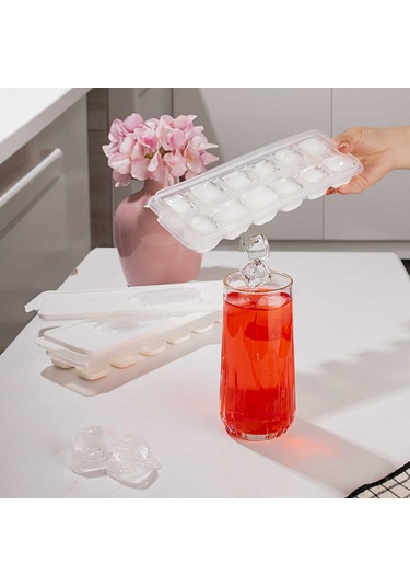 Porsima Org-160 12 Hazneli Silikon Tabanlı Buzluk Buz Kalıbı Bey