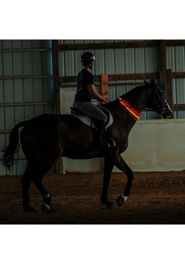 Willowhaven Pembe Led At Yakası Gece Binicilik Güvenlik Ekipmanı Ayarlanabilir Pembe