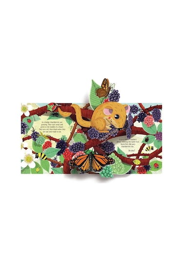 Pop-Up Nature - Anna Milbourne - Usborne