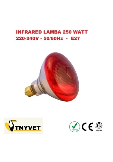 Isıtıcı Ampul Lamba Kırmızı 250 Watt / 2 Adet