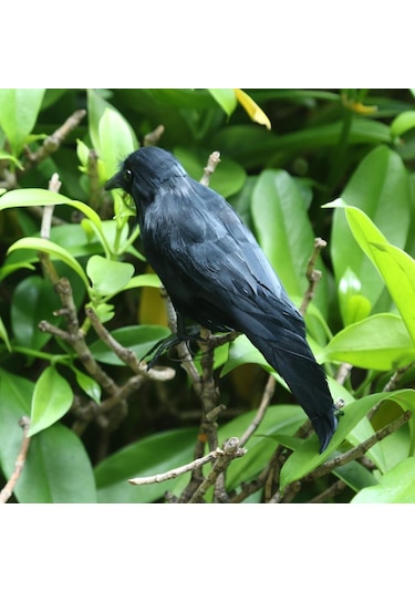 Homyl Sahte Yapay Karga Kuş Tüylü Gerçekçi Bahçe Ev Dekor Süsleme