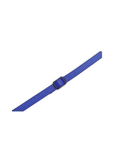 Beeztees Yavru Köpek Boyun Tasması, Çeşitli Renklerde, 22-35cm, 10mm Çok Renkli