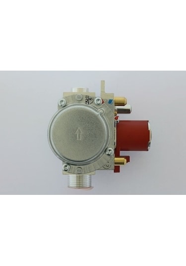 Viessmann Gaz Valfi Ebmpapst Gb-nd 055 E01 S00