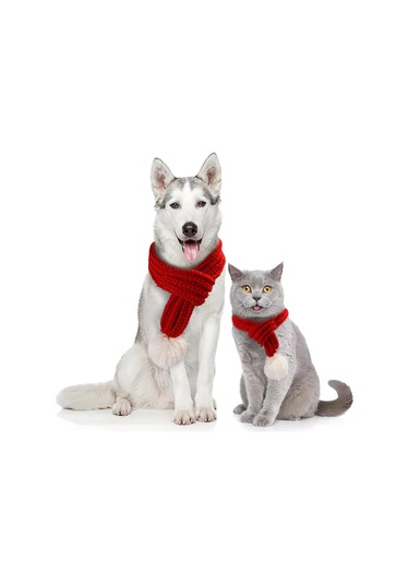 Kangvka Kedi Köpek Bayram Atkısı Kırmızı S Boyutu - Yumuşak Kumaş, Kolay Kullanıma Uygun, Tatil Dekorasyonu Çok Renkli