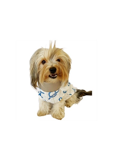 Kemique Blue Nautica Su itici Yağmurluk Köpek Yağmurluğu