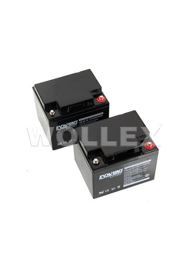 12V 40Ah Deep Cycle Akü 2 adet